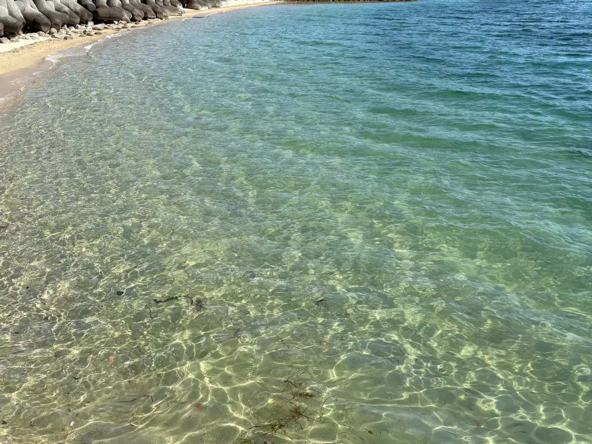 リフレッシュタイムは海を目指して気ままに走る